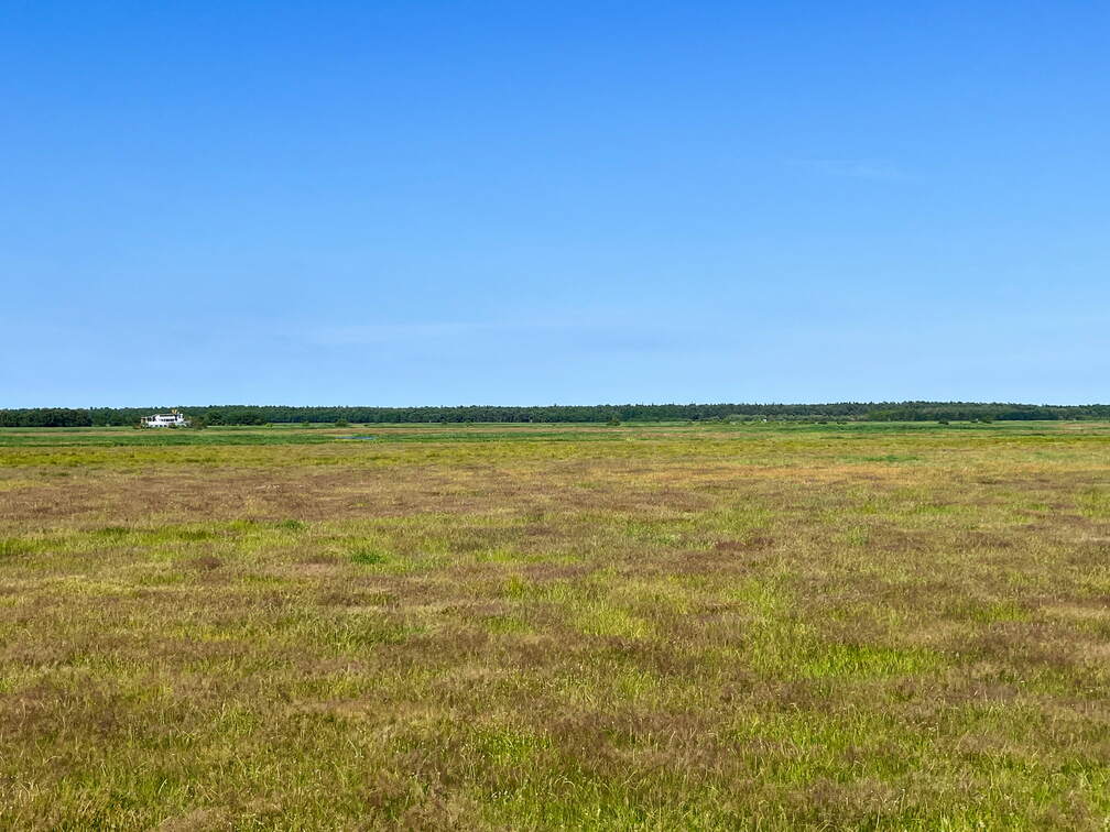 24-06-29 16-29-34 0018